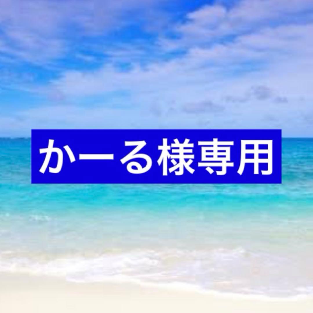 STRIDER PRO 12インチ　シルバー　おまけいろいろ付き