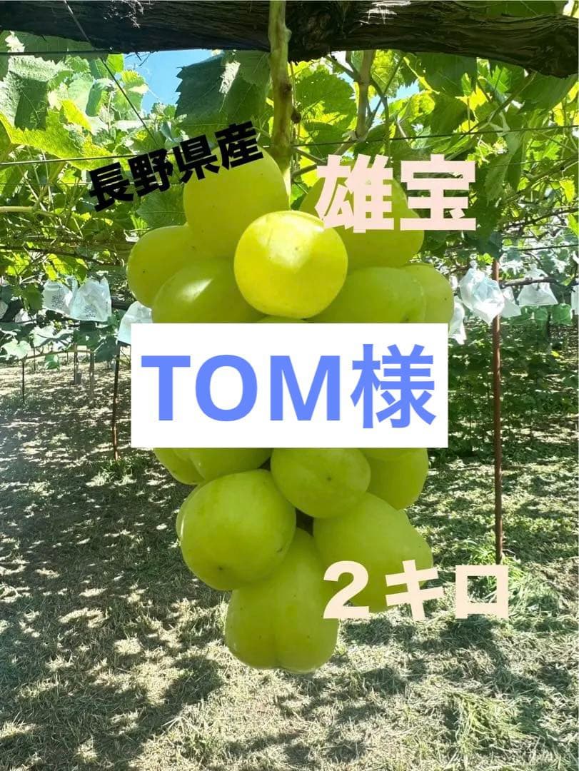 果物 TOM