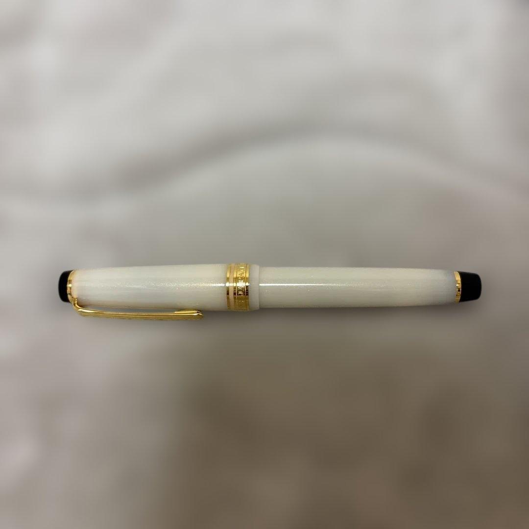 完売品：SAILOR万年筆 SHIKIORI 四季織 雪月空葉 専用箱付き