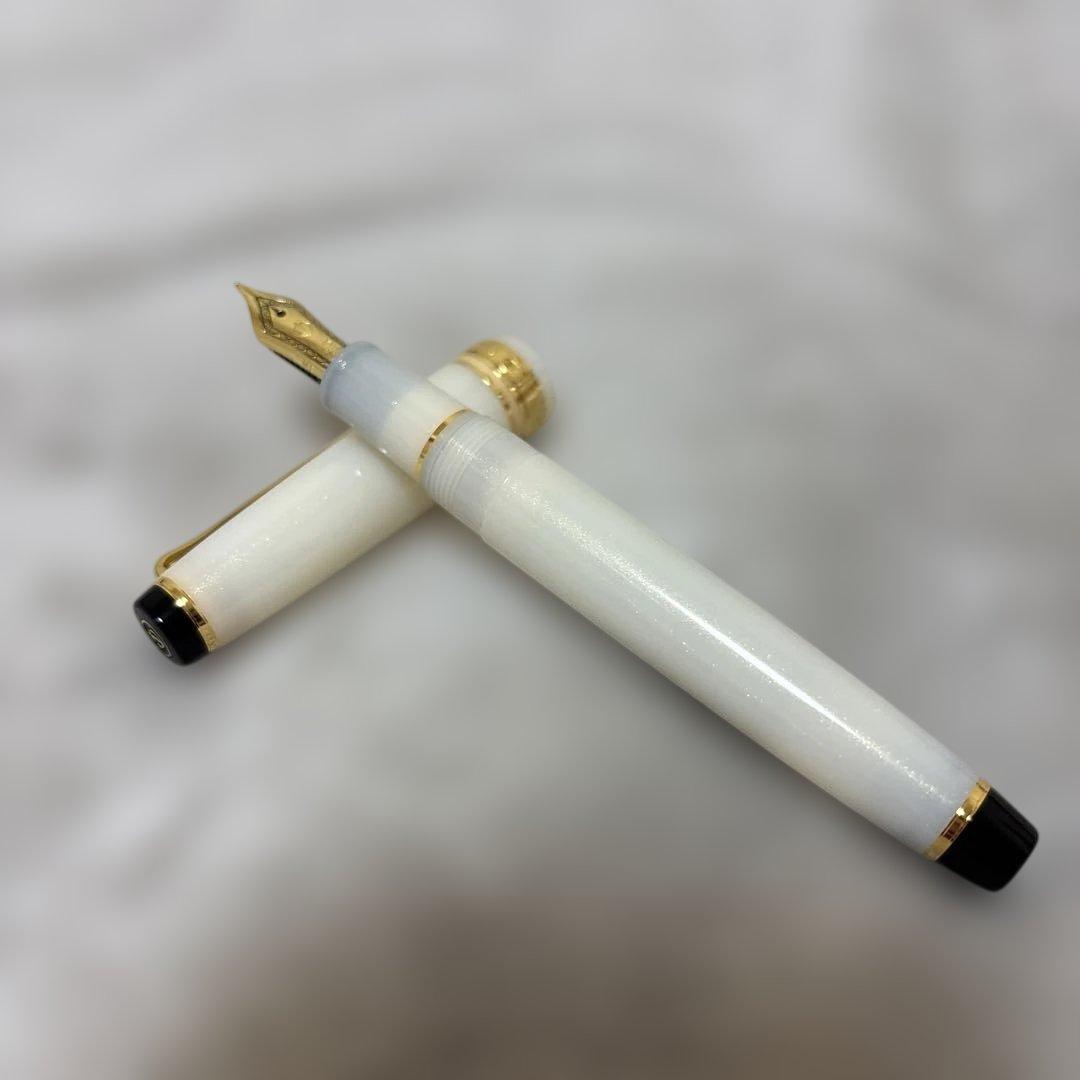 完売品：SAILOR万年筆 SHIKIORI 四季織 雪月空葉 専用箱付き