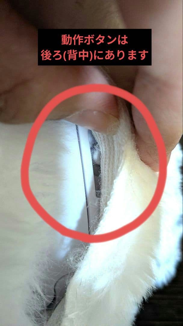 USJハリーポッターヘドウィグ肩乗せ