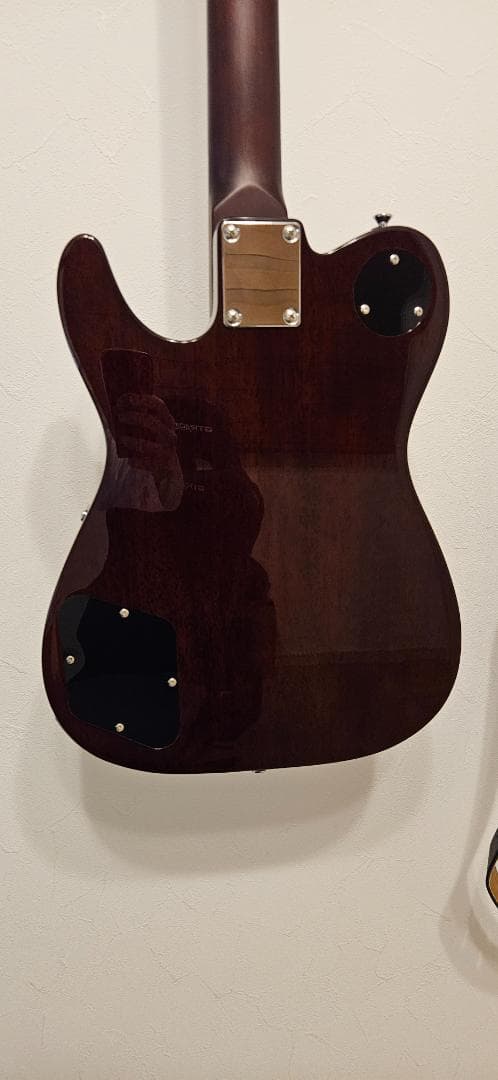 ギター Bacchus BARON-JAZZ ABB