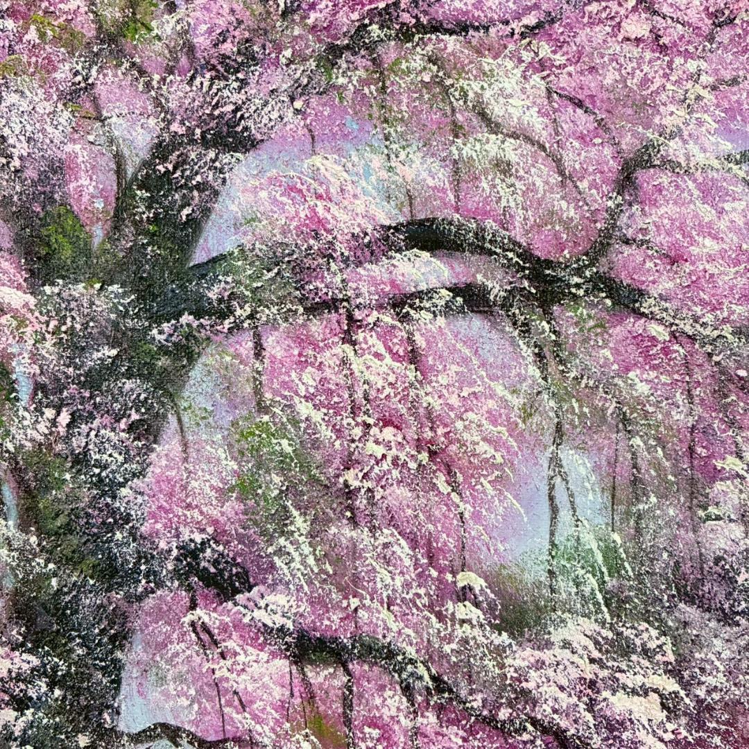 美品 寺井孝「角館の桜」キャンバスに油彩 10号 彩波会 二科展 枝垂れ桜 名品