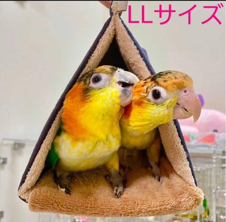 まんまるバードテント＊オーダーページ　LL&3L　中型インコ