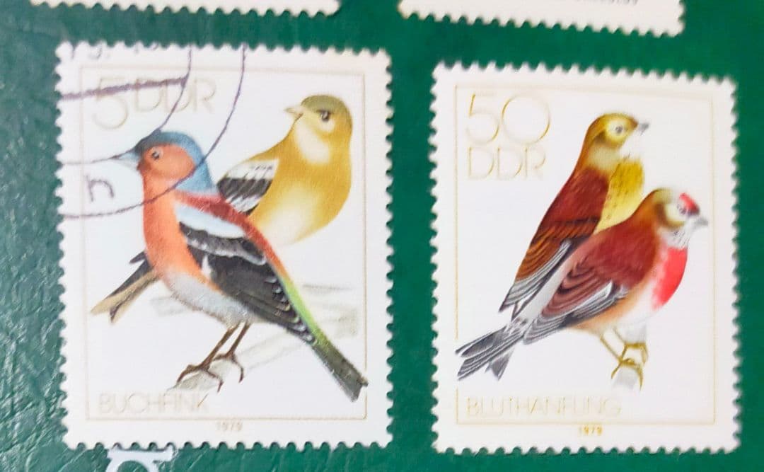 確認用！東ドイツ梟など鳥切手14種DDR貴重