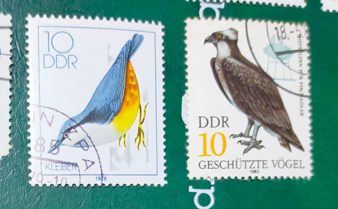 確認用！東ドイツ梟など鳥切手14種DDR貴重