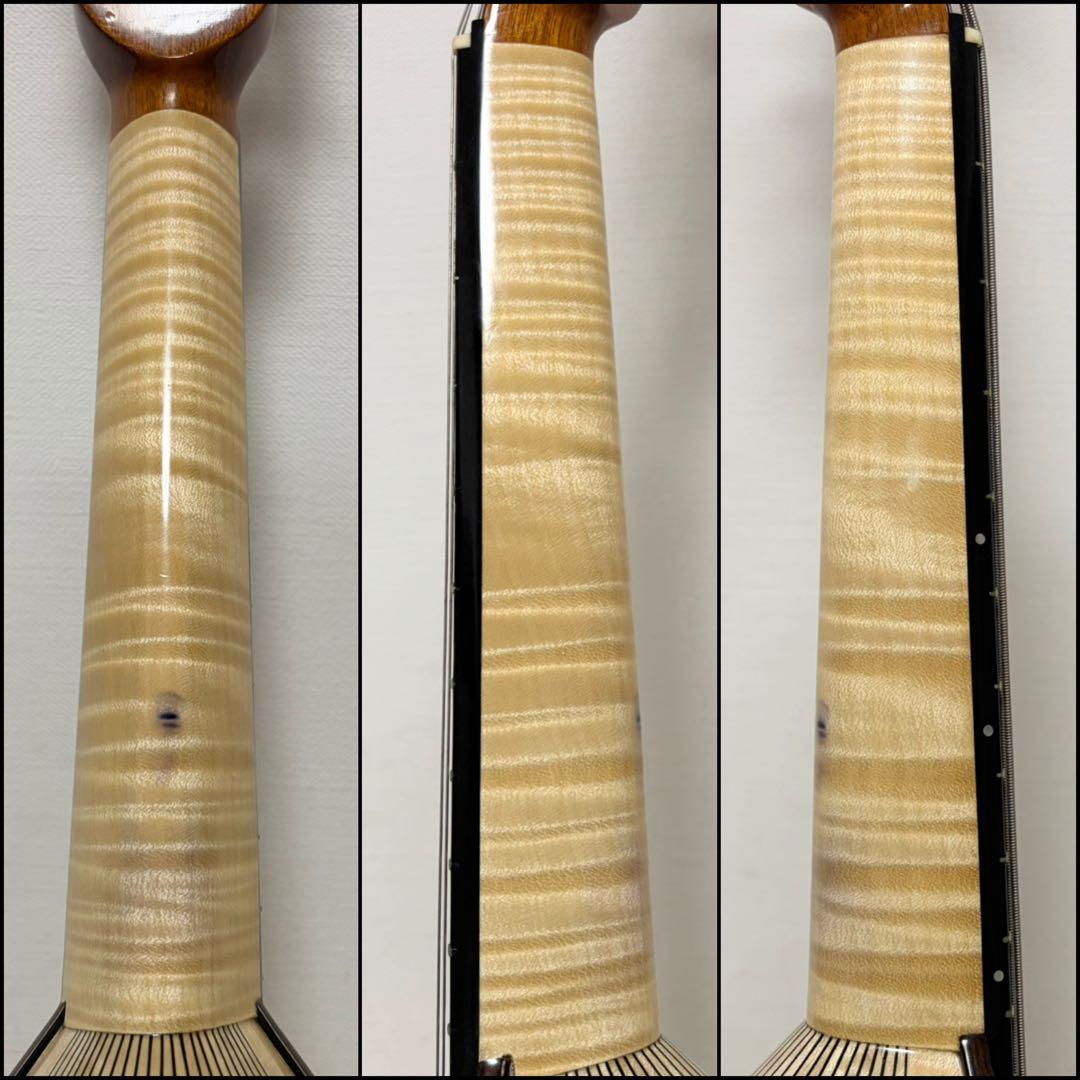 ★美品★ 落合大悟郎 高級 マンドラ DS-1 2009年 セミハードケース付