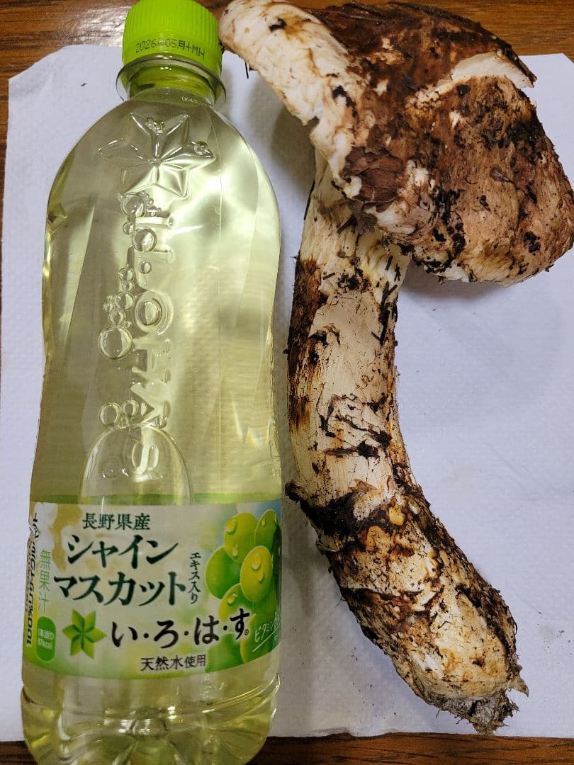 特大　国産　岩手県産　松茸　330g