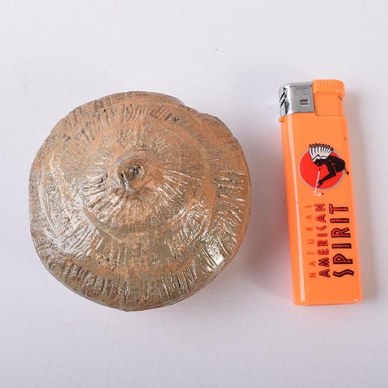 茶道具　楽山窯　十一代空権　長岡住右衛門作　出雲香合　共布　共箱　V　R8433