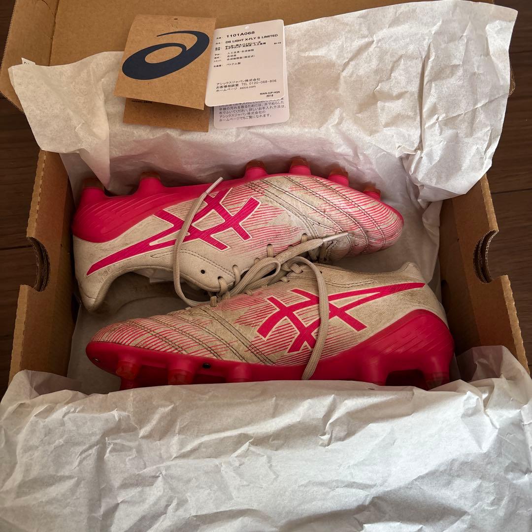 アシックスDS LIGHT X-FLY5LIMITED 24cm