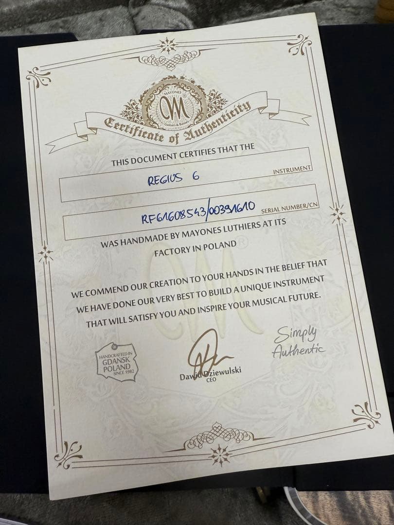 Mayones Regius6 エレキギター 自然木仕上げ ハードケース付