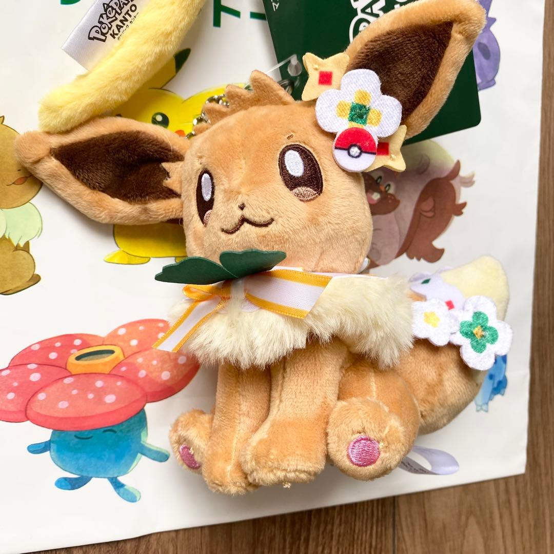 ポケパーク カントー カーニバル衣装 ピカチュウ ・ イーブイ グッズ セット