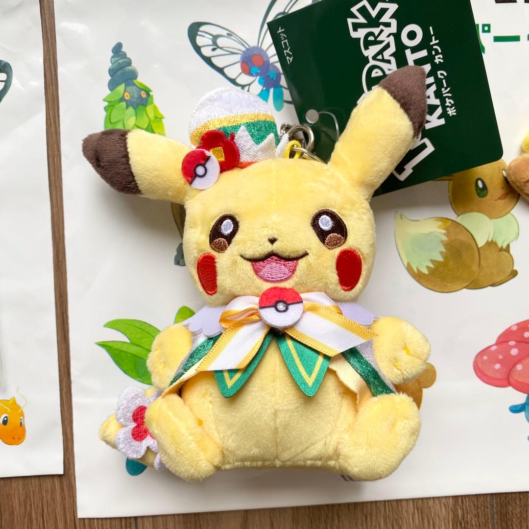 ポケパーク カントー カーニバル衣装 ピカチュウ ・ イーブイ グッズ セット