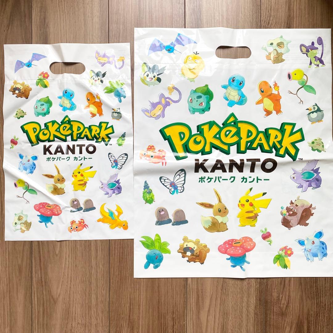 ポケパーク カントー カーニバル衣装 ピカチュウ ・ イーブイ グッズ セット