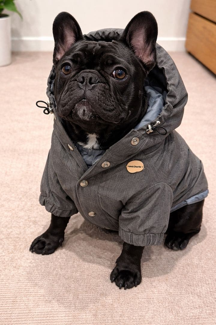 andCharlie アンドチャーリー　フード付きコート