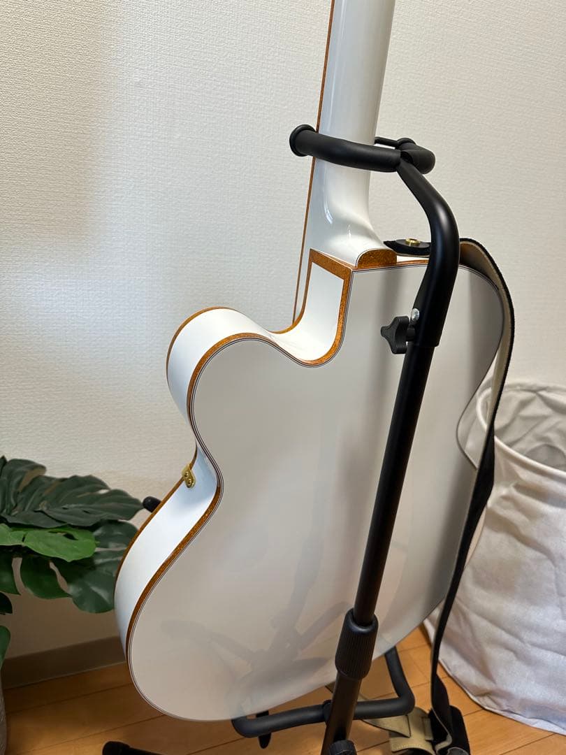極美品GRETSCH white falcon 2025年製(値段ありさん専用)