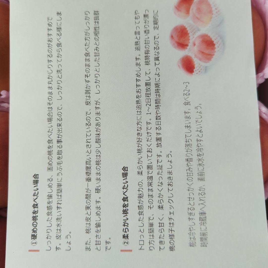 山形桃川中島白桃5k箱 袋がけあり少し色白さん(⁠◕⁠ᴗ⁠◕⁠✿⁠)×2箱
