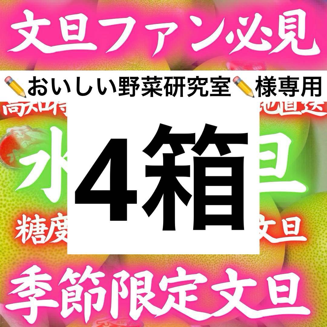 2高知特産 水晶文旦 8～6玉入 約3kg ×4箱文旦 産地直送 送料無料