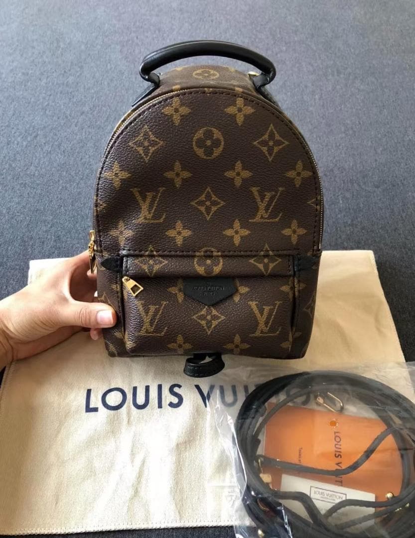 LOUIS VUITTON パームスプリングス バックパック M44873