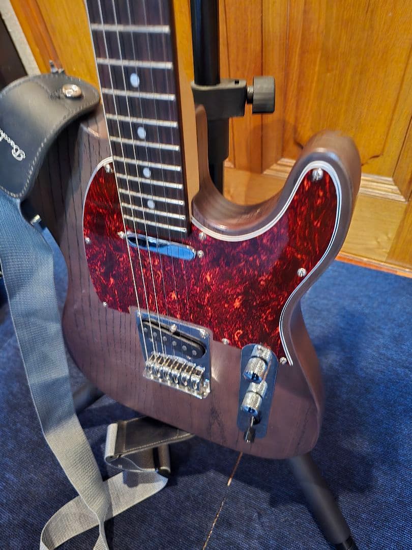 Bacchus テレキャスター YTM-500R