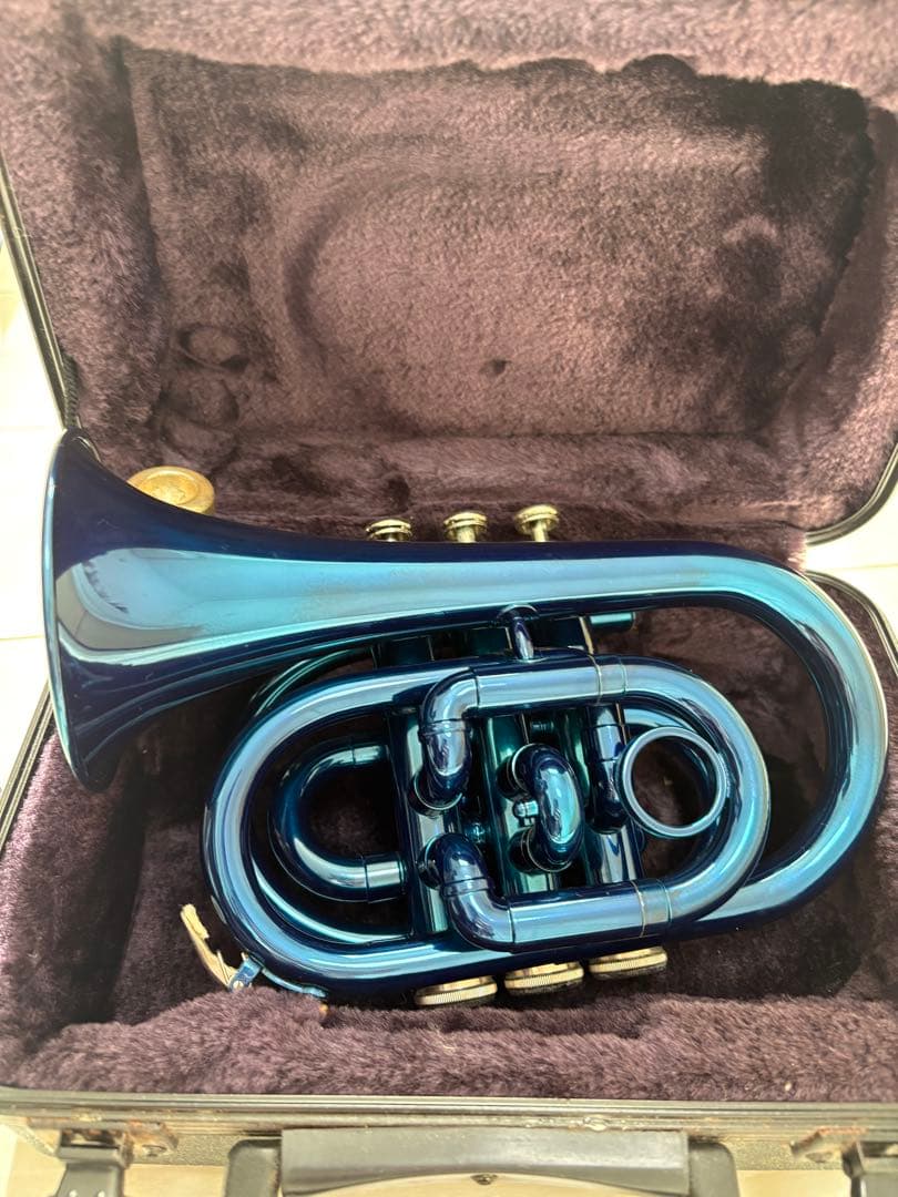 Kaerntner ケルントナー ポケットトランペット ケース　マウスピース付き