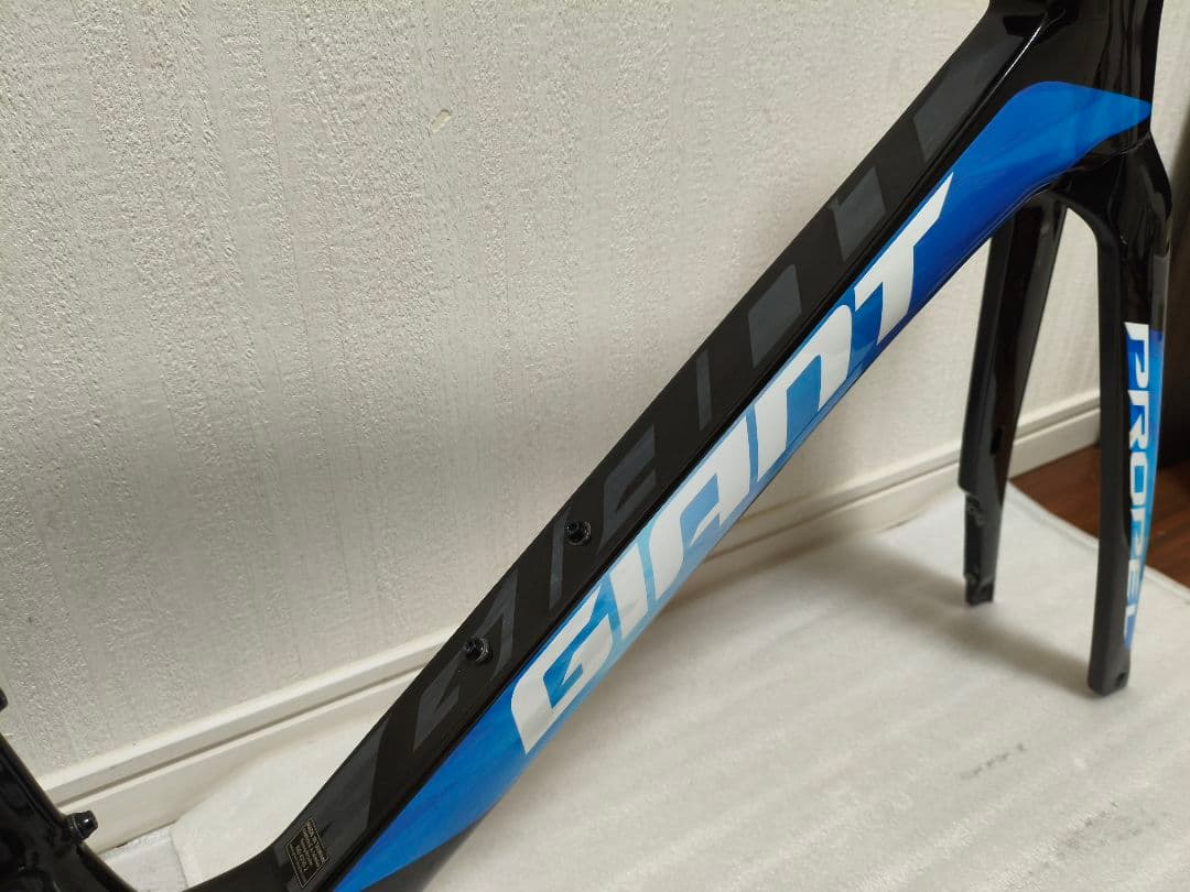 わ*わ様 美品 GIANT PROPEL ADVANCED SL DISK フレ