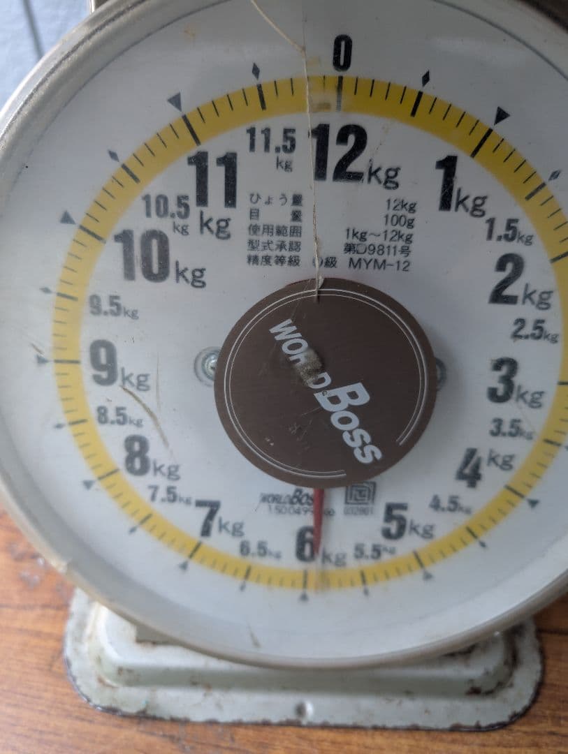 山梨県産ぶどう　シャインマスカット　9房入り箱込み約5.9kg