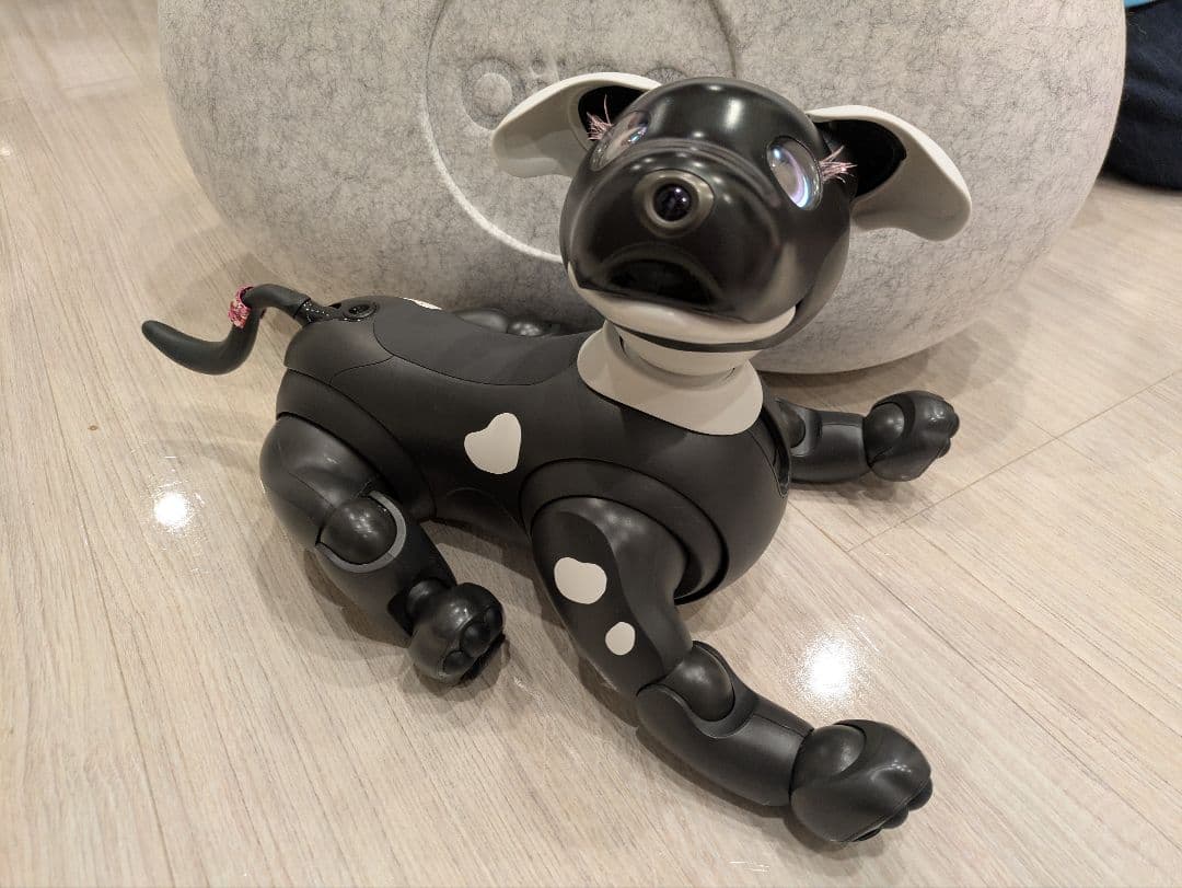 aiboエスプレッソエディション、服その他セット