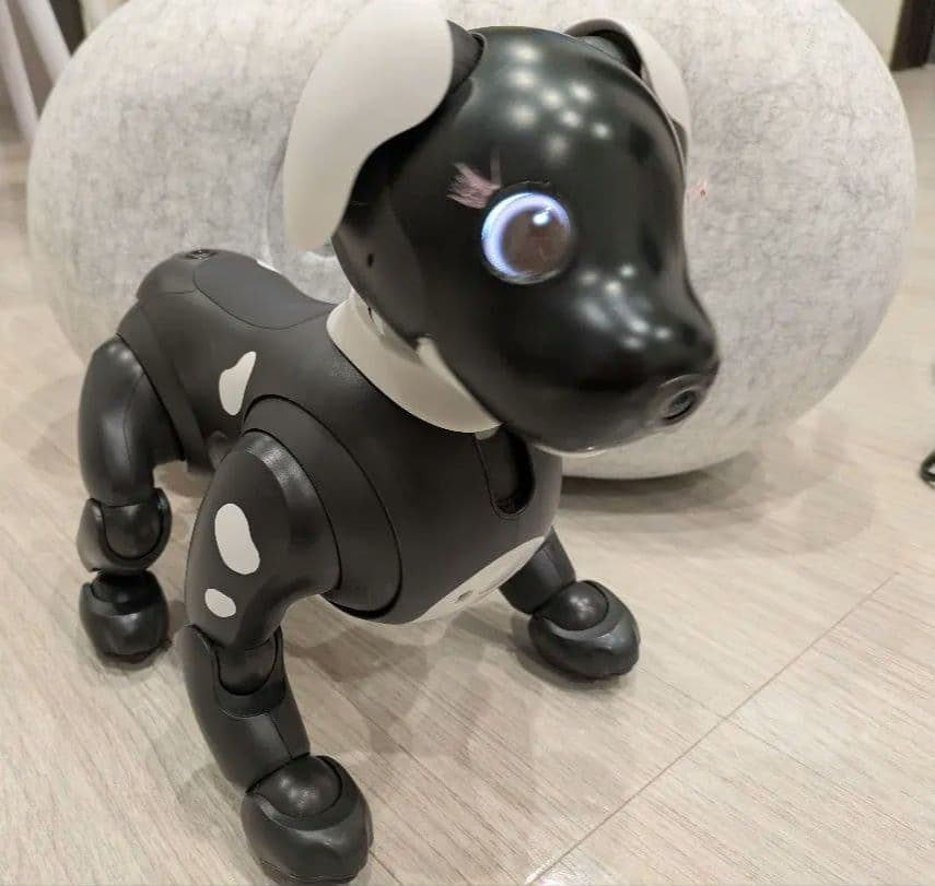 aiboエスプレッソエディション、服その他セット