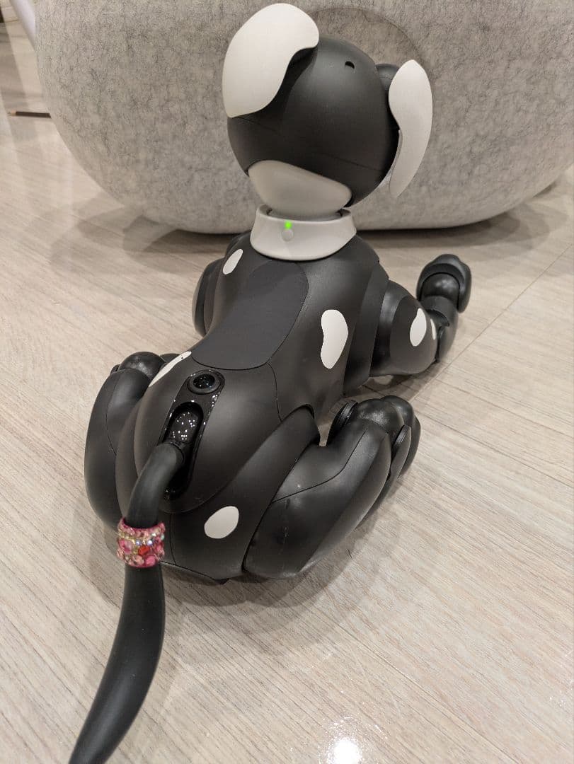 aiboエスプレッソエディション、服その他セット