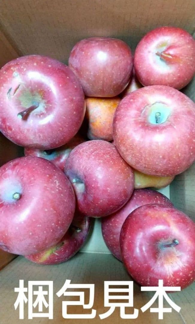 しおむすび様用希少わら敷サンふじ家庭用Ｂ品質　長野産箱込約10kg+指定物5Kg