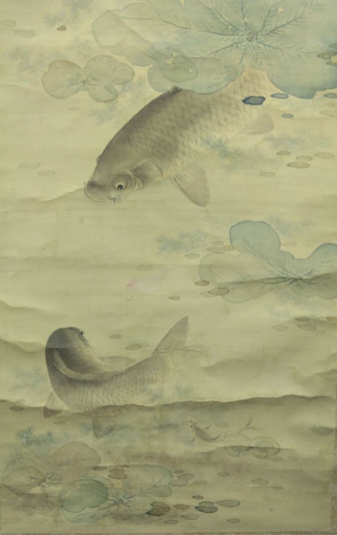 櫻間青厓【遊鯉之図】絹本　掛軸（杉原夷山／清水退軒）