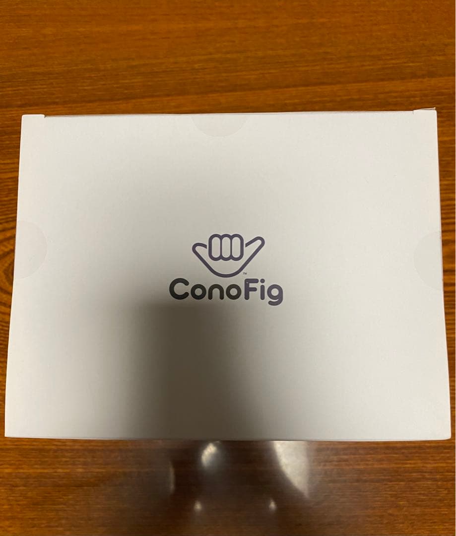 fgo ジャンヌ・ダルク・オルタ　conofig フィギュア