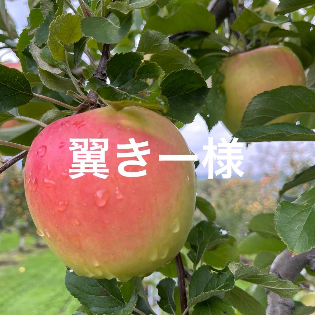 翼きーページ✨10kg