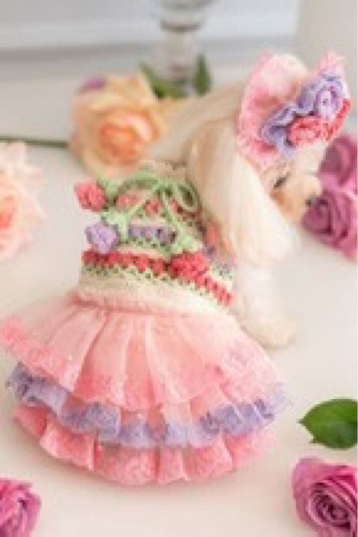 【 半額以下】【Pet a Portre (ペット ア ポルテ) 】ニットドレス