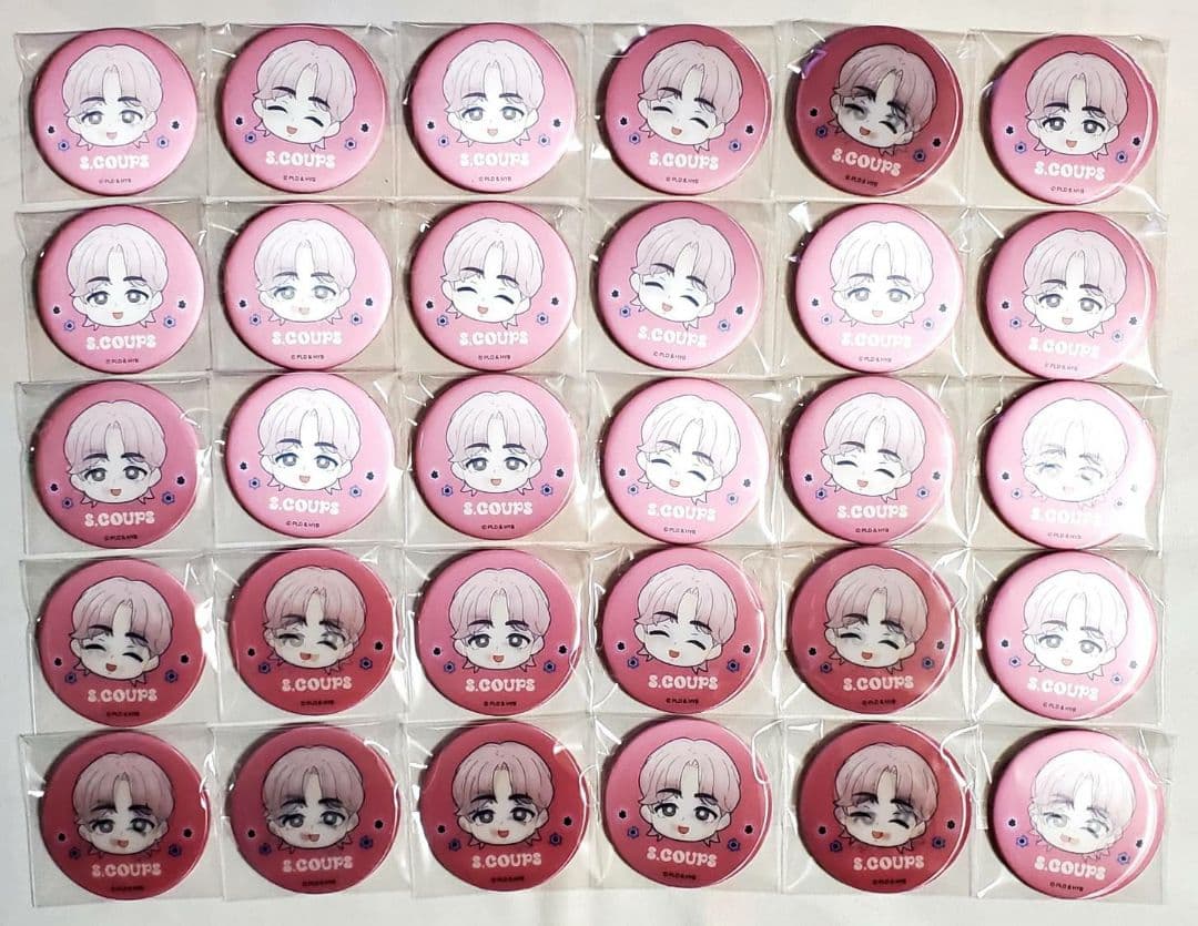 SEVENTEEN まじかる百貨店 缶バッジ キャラバッジ エスクプス 30点