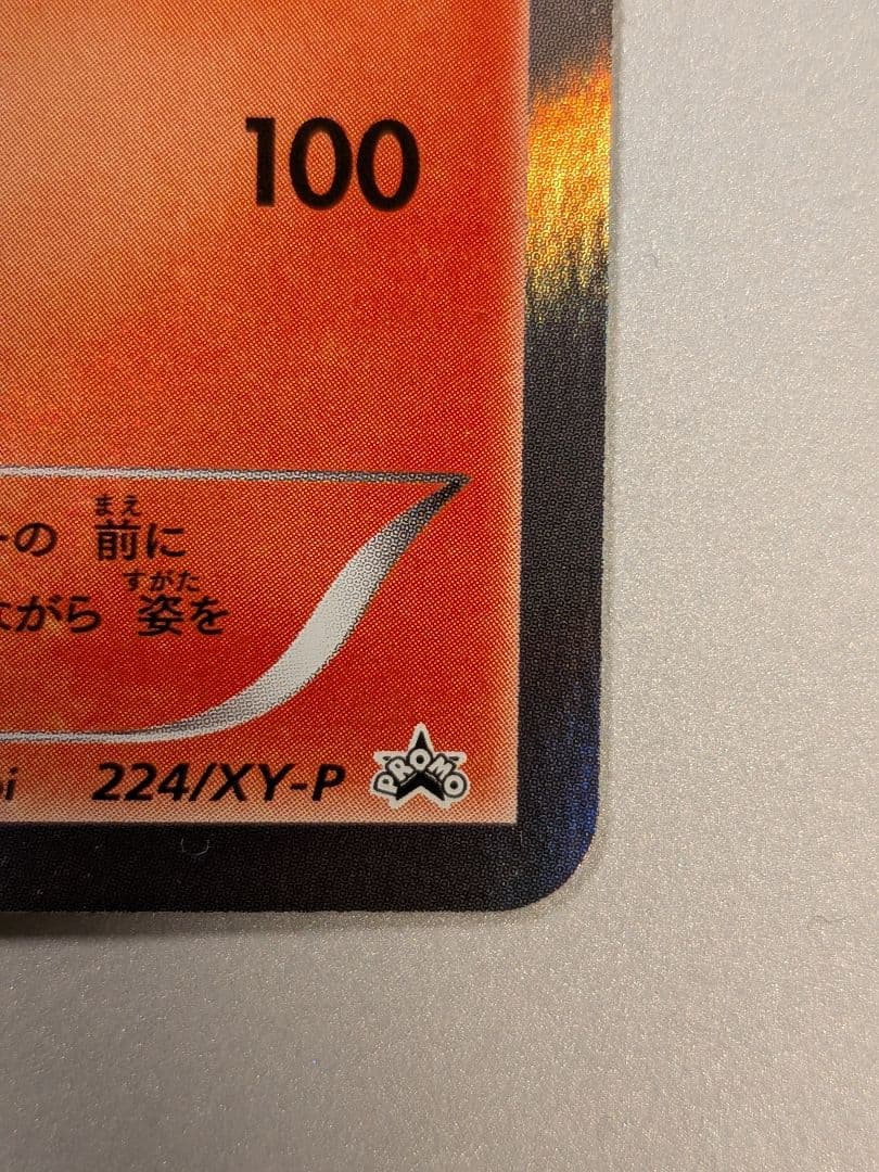 ホウオウ：スペシャルセット ホウオウ+ルギア PROMO XYシリーズプロモー…