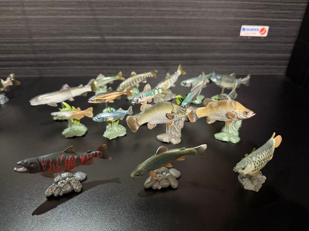 原色淡水魚図鑑