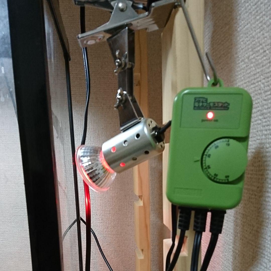 爬虫類ケージ 小型の両生類、爬虫類に！