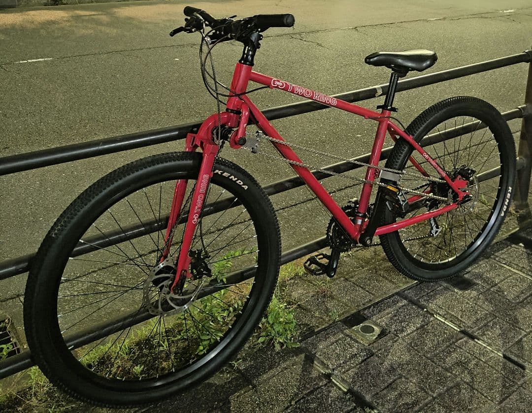 【超希少品】【二輪駆動】TWO RING マウンテンバイク 29インチ　ジャンク