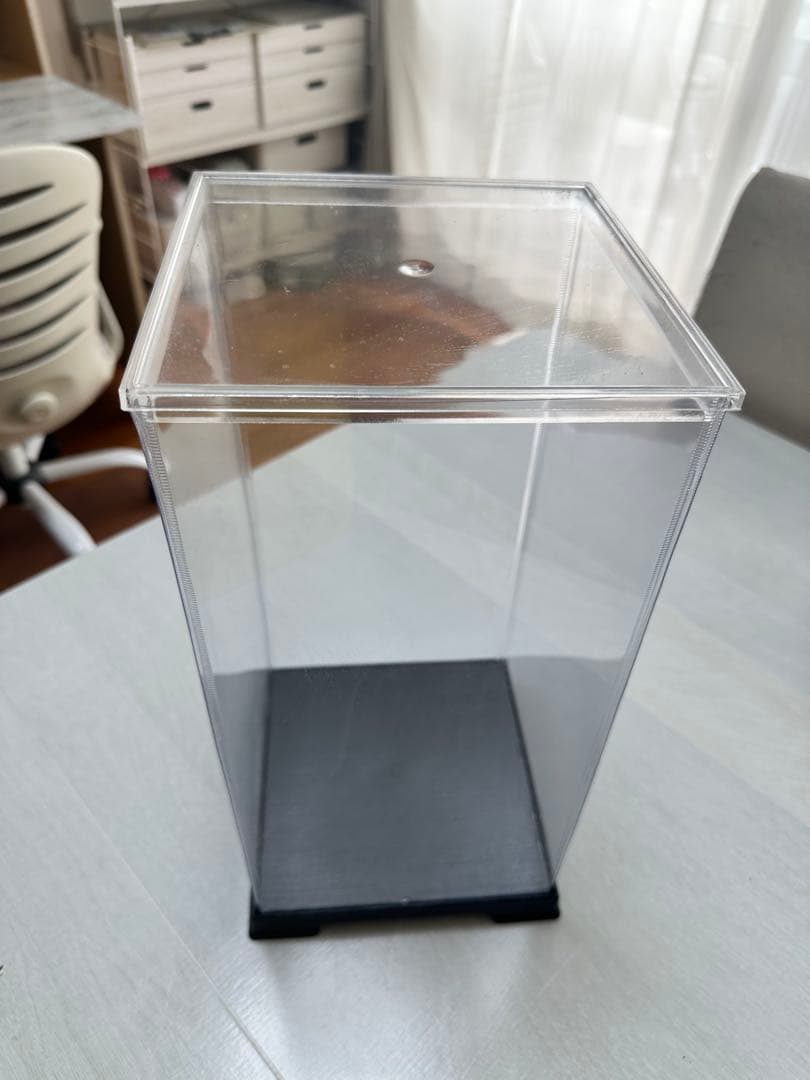 Brian Wilsonブライアンウィルソン 1966公式フィギュア特別ケース付