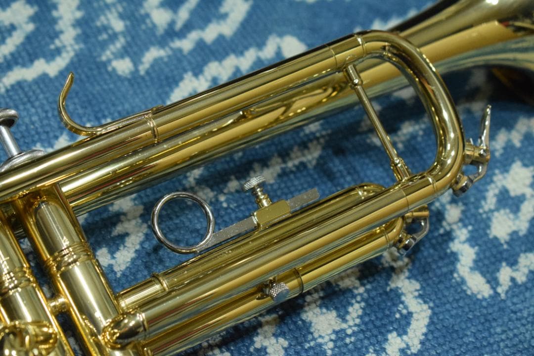 Bach TR Series TR-600 GL 状態良好 ハードケース付属