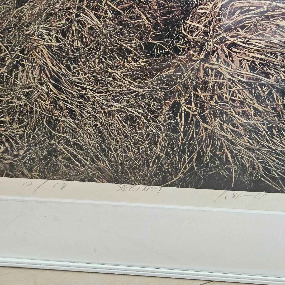 1985年 限定18部 小本章 シルクスクリーン 版画 seeing 真作