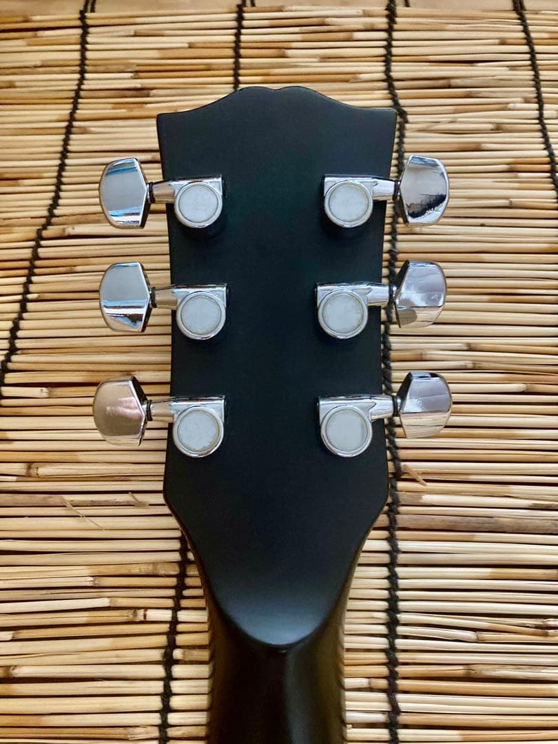 ☆値下☆美品珍品　モディファイして新機能満載　GrassRoots SSS LP