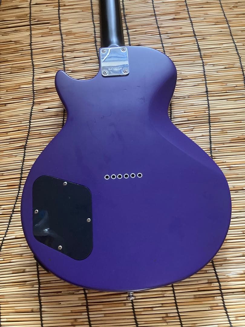 ☆値下☆美品珍品　モディファイして新機能満載　GrassRoots SSS LP