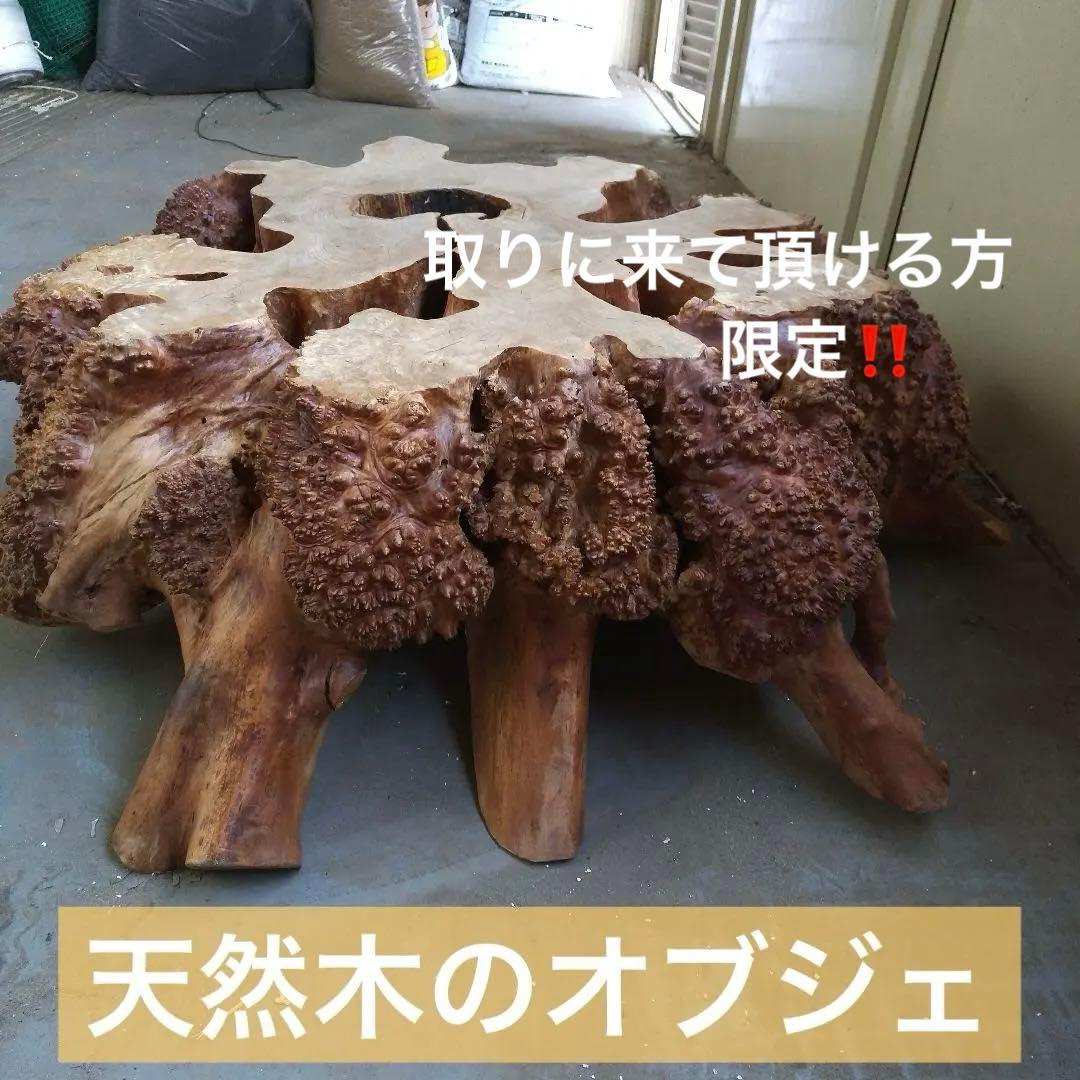 瘤のオブジェ・木製・無垢・天然木・切り株・飛騨産