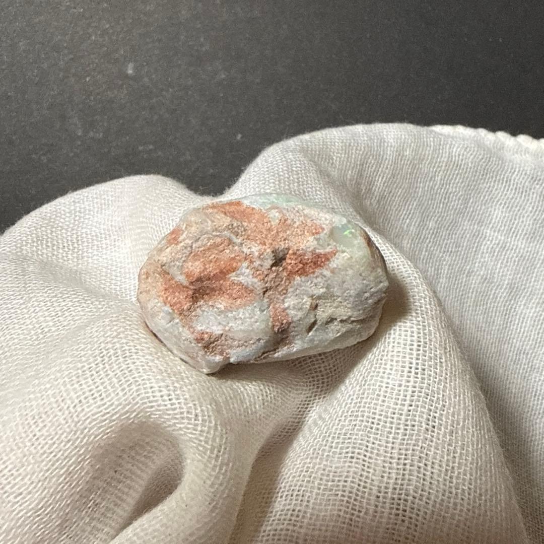 シェルオパール 貝オパール オパール化貝化石 オパライズドシェル