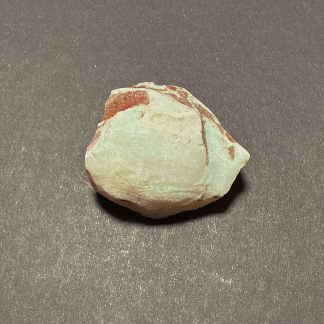 シェルオパール 貝オパール オパール化貝化石 オパライズドシェル