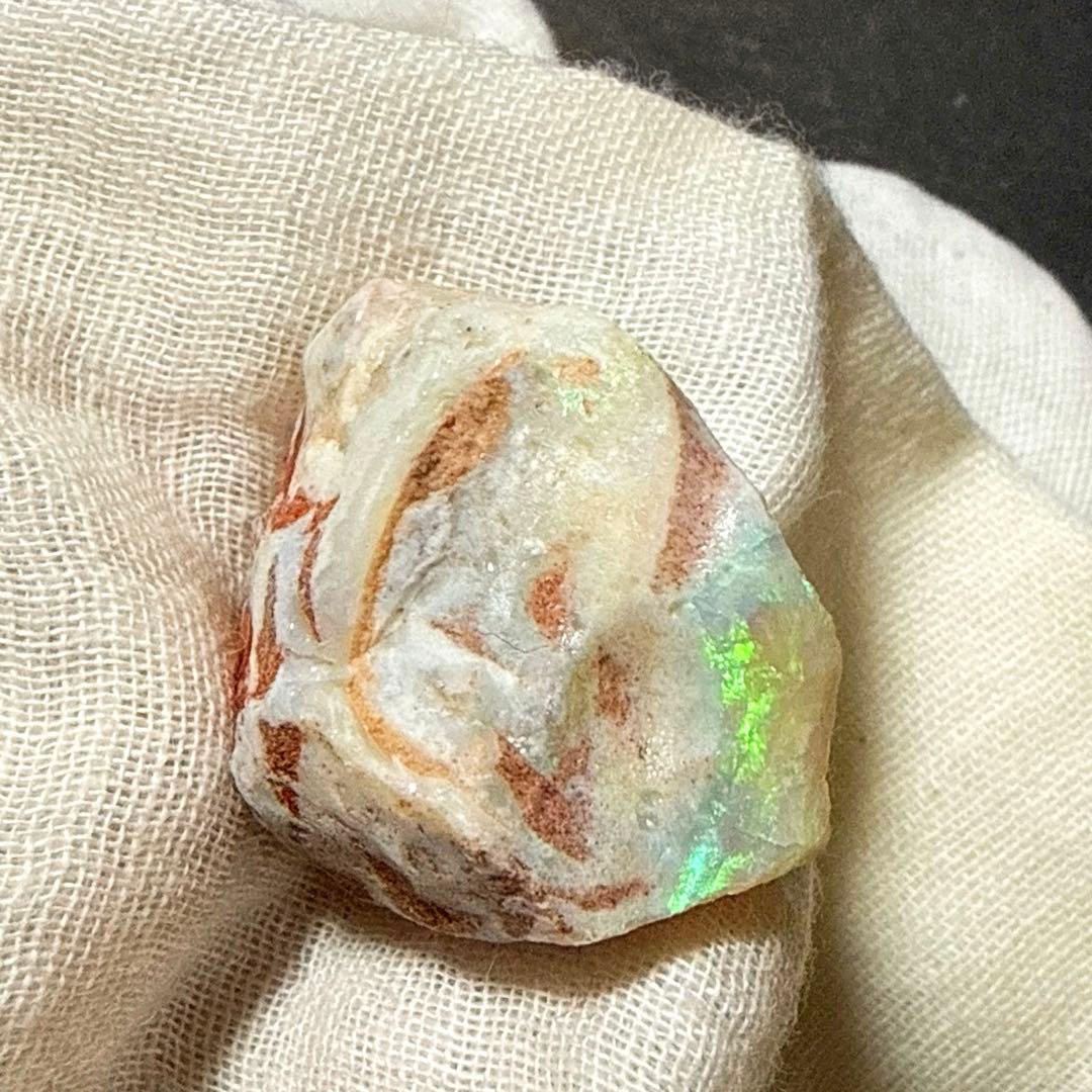 シェルオパール 貝オパール オパール化貝化石 オパライズドシェル