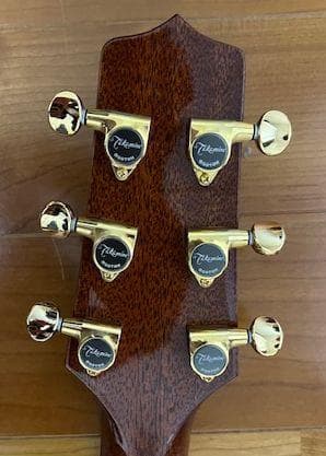 初心者も、エレキ奏者も弾きやすい薄胴エレアコ、タカミネTSP138C TB